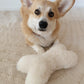A corgi dog laying on the floor with a Mellow Pet Store Natural Sheepskin Dog Toy Bone, enjoying sustainable entertainment.